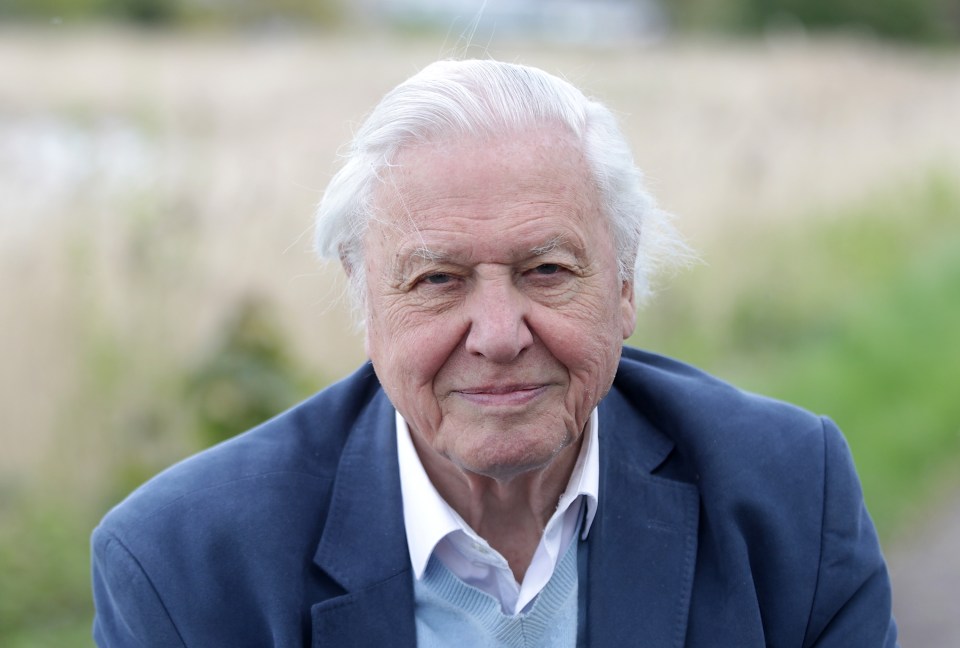 a man in a blue jacket and white shirt smiles for the camera