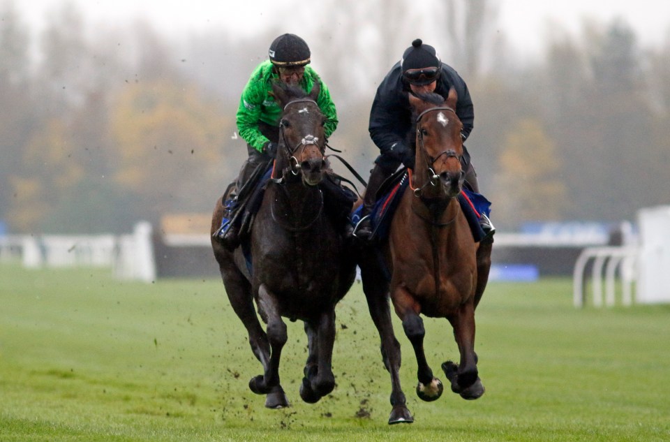 Constitution Hill did not impress at Newbury