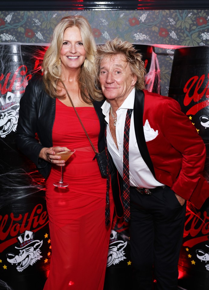 Her husband Rod Stewart hit out on social media last week, branding Gregg a 'tubby, bald-headed, ill-mannered bully'