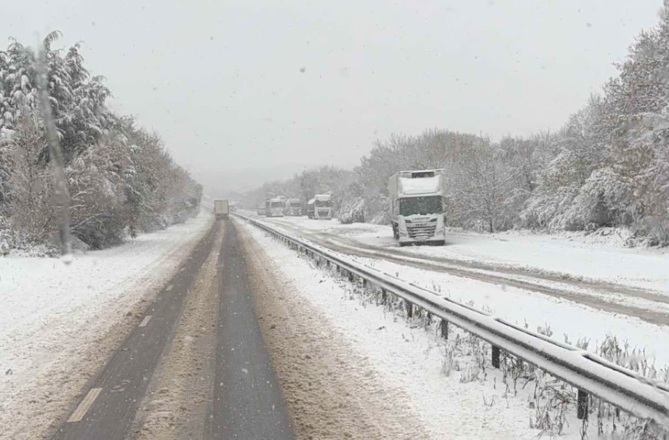 a row of trucks are driving down a snowy highway