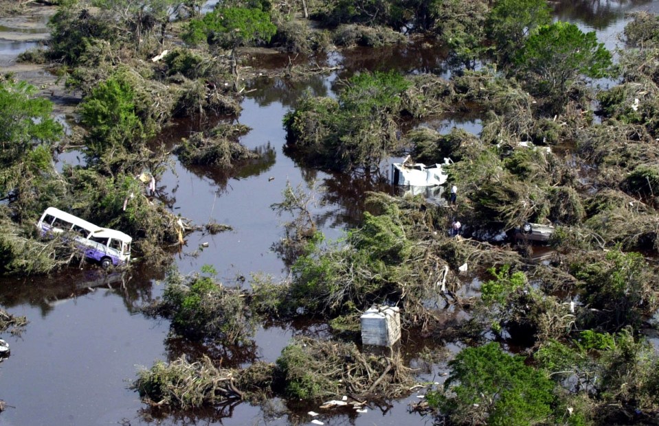 The enormous wave left flooding in many areas of South and South East Asia