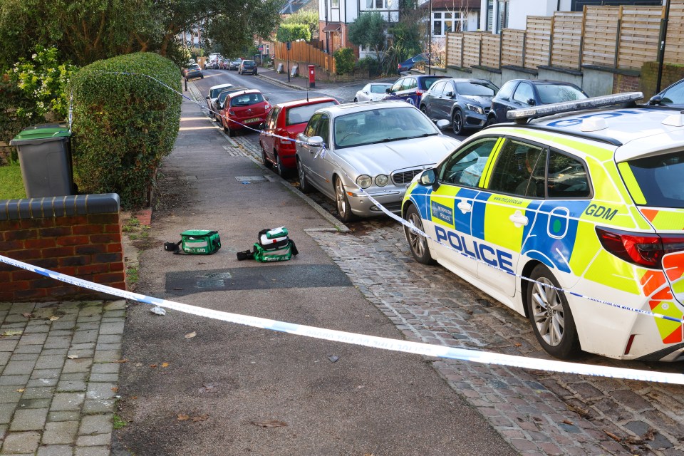 The scene in Muswell Hill