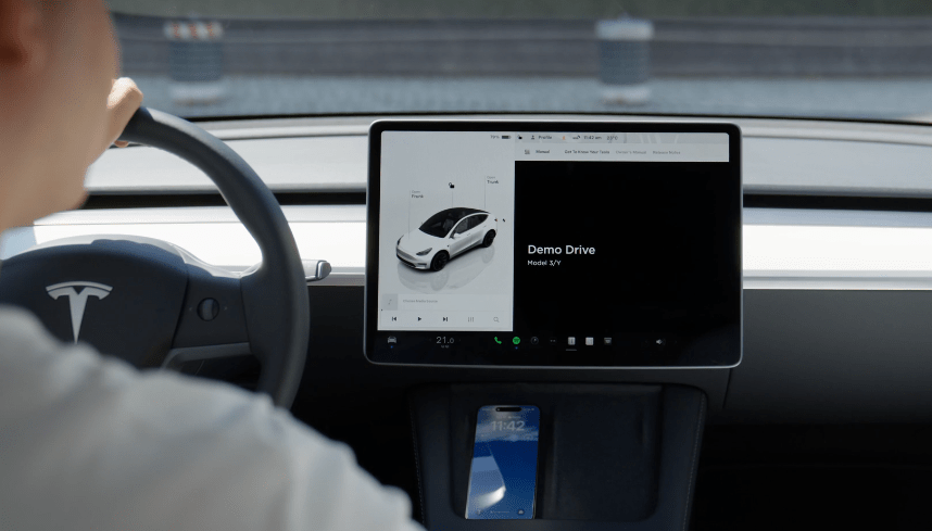 Customers can test out Tesla's driverless EVs without needing any human interaction