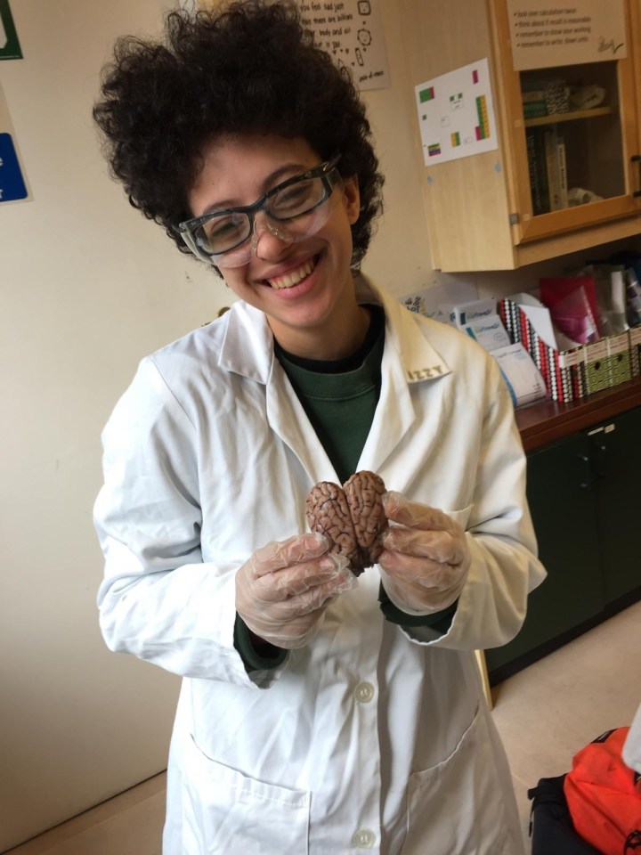 a woman in a lab coat holds a model of a brain