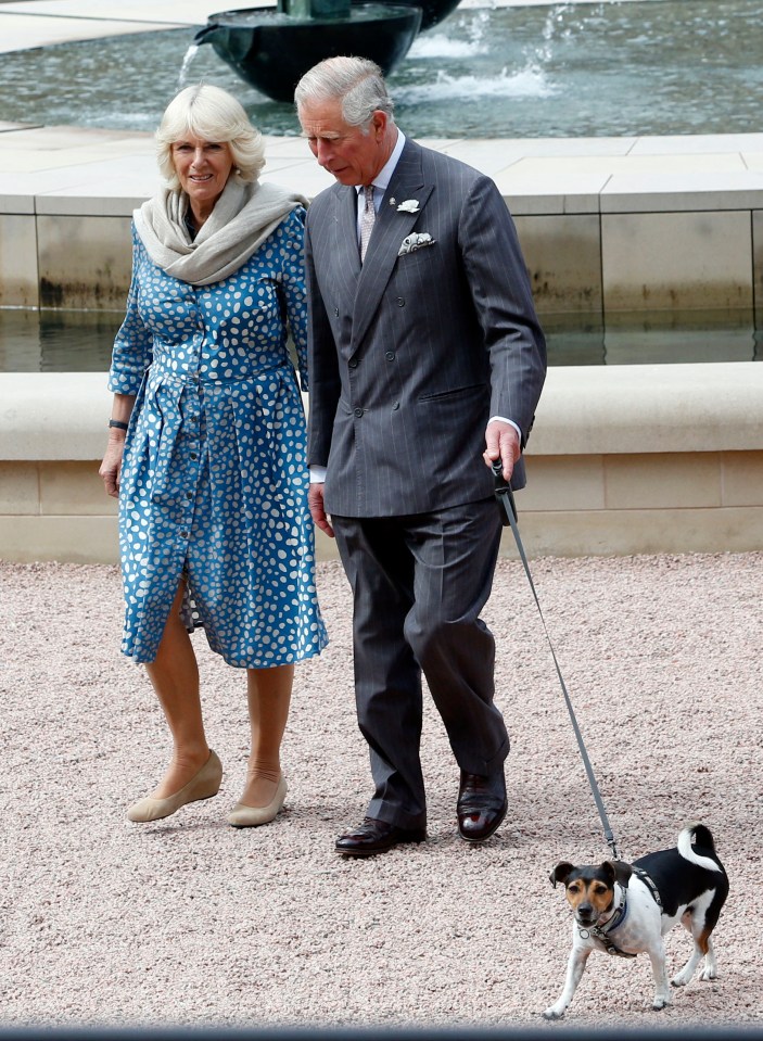 Charles and Camilla are now planning to adopt a new pet from Battersea Dogs Home