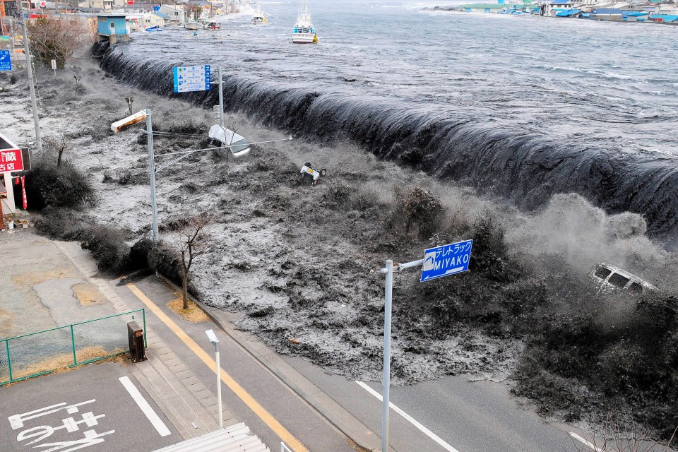 A tsunami flooded the plant after getting over the sea wall