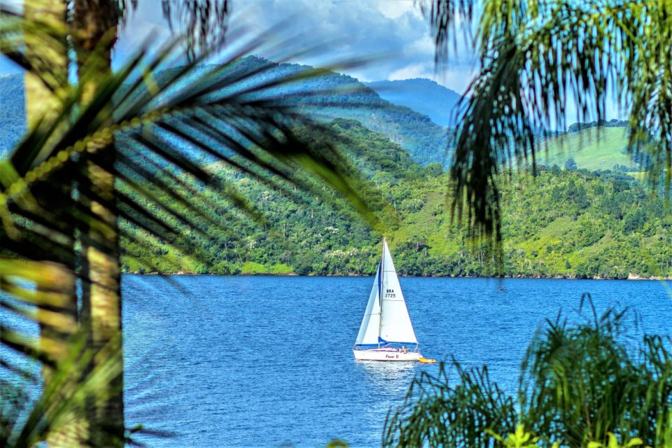 a sailboat on a lake with a few palm trees in the foreground