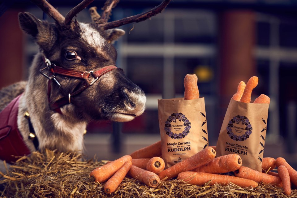 Morrisons is set to give away over 185,000 wonky carrots for free ahead of Christmas