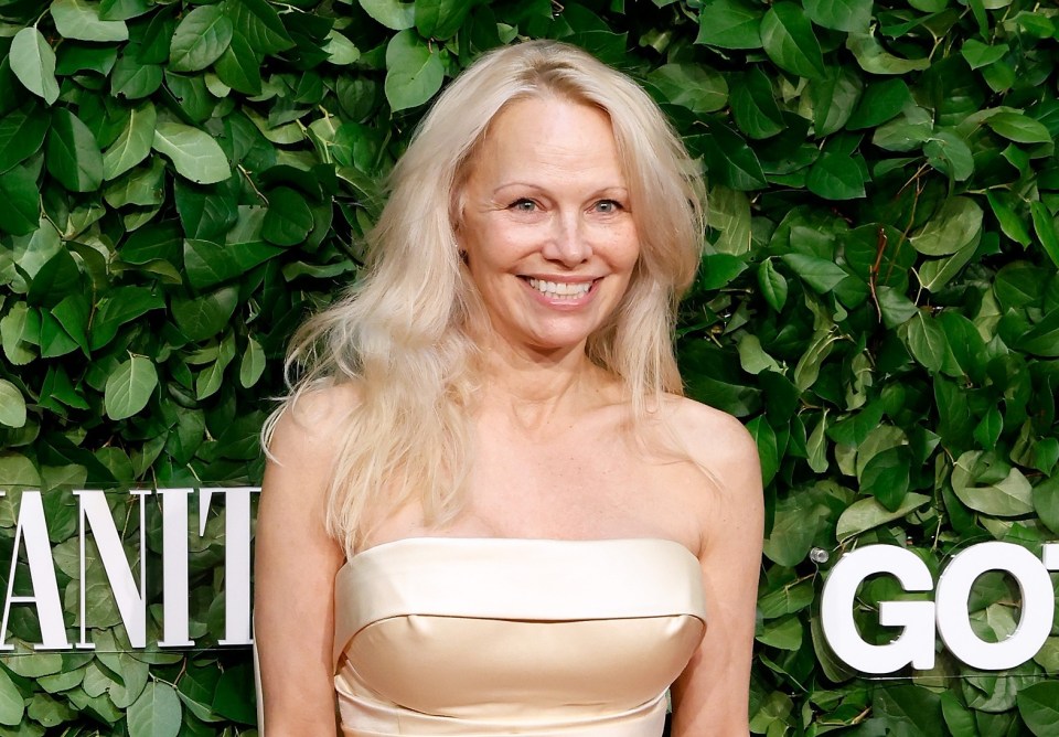 Pamela Anderson has decided to go quietly into older age with no make-up