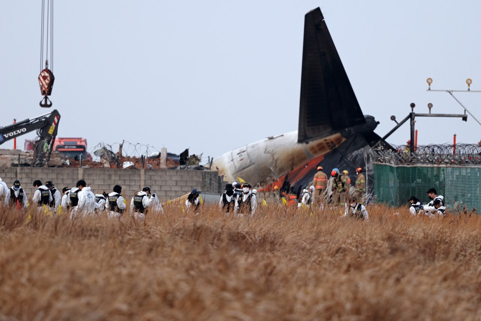 Investigators look through a field following the crash