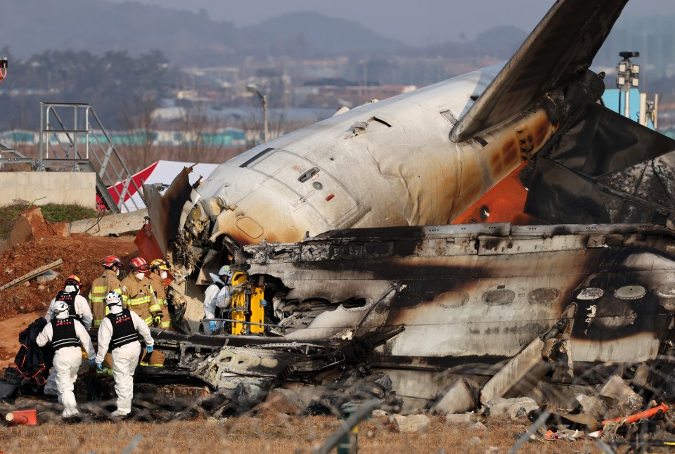 Only the plane's tail survived the enormous explosion