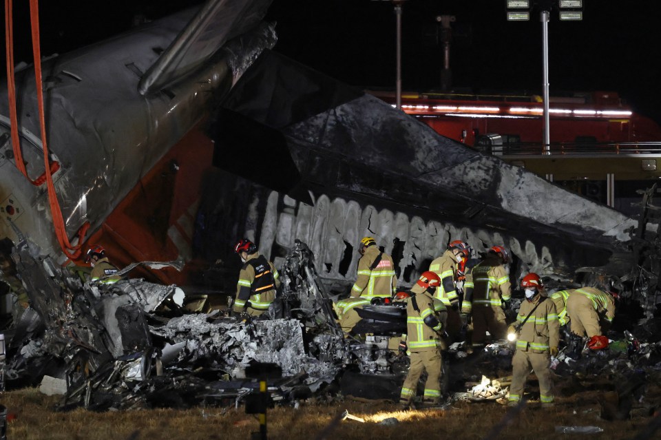 Firefighters search for clues about why the plane crashed