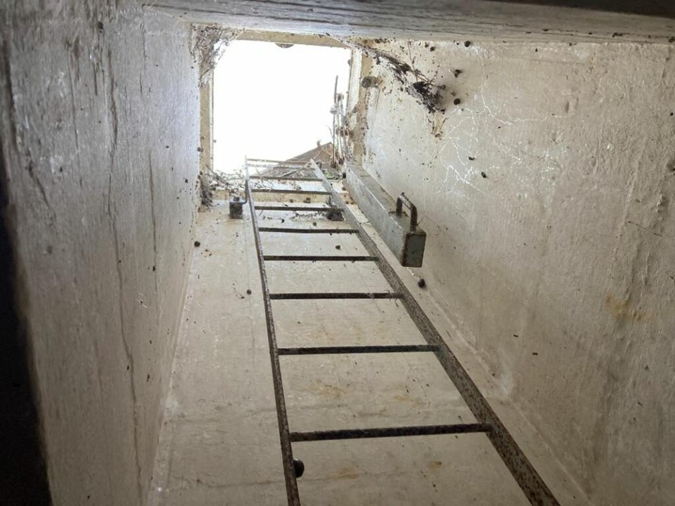 The ladder descending from the hatch