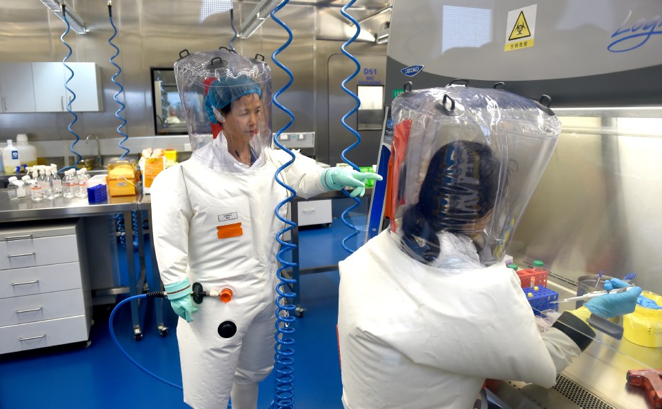 Two scientists in protective suits work in a lab.