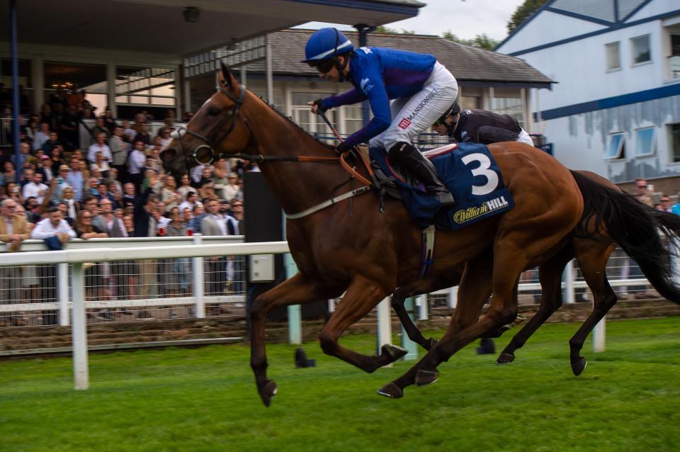 Windsor racecourse is known for its Monday evening racing during the summer - but now the jumps is back in full force and trainers want some of the £100,000 on offer