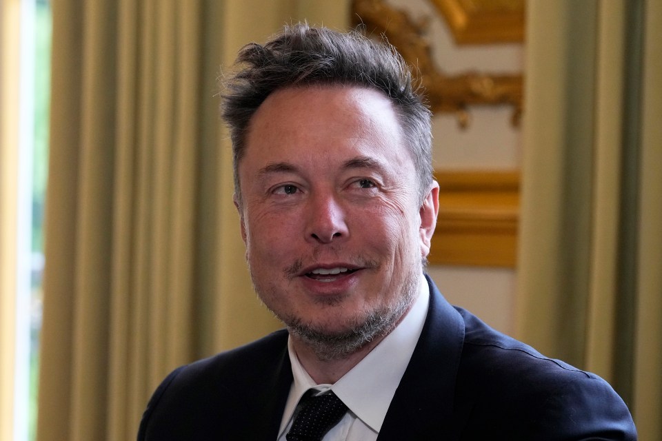 Elon Musk has not offered a megabucks donation to Reform, says Nigel Farage