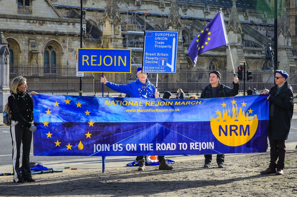 Protesters outside Parliament in London on the third anniversary of Brexit, advocating for the UK to rejoin the EU.