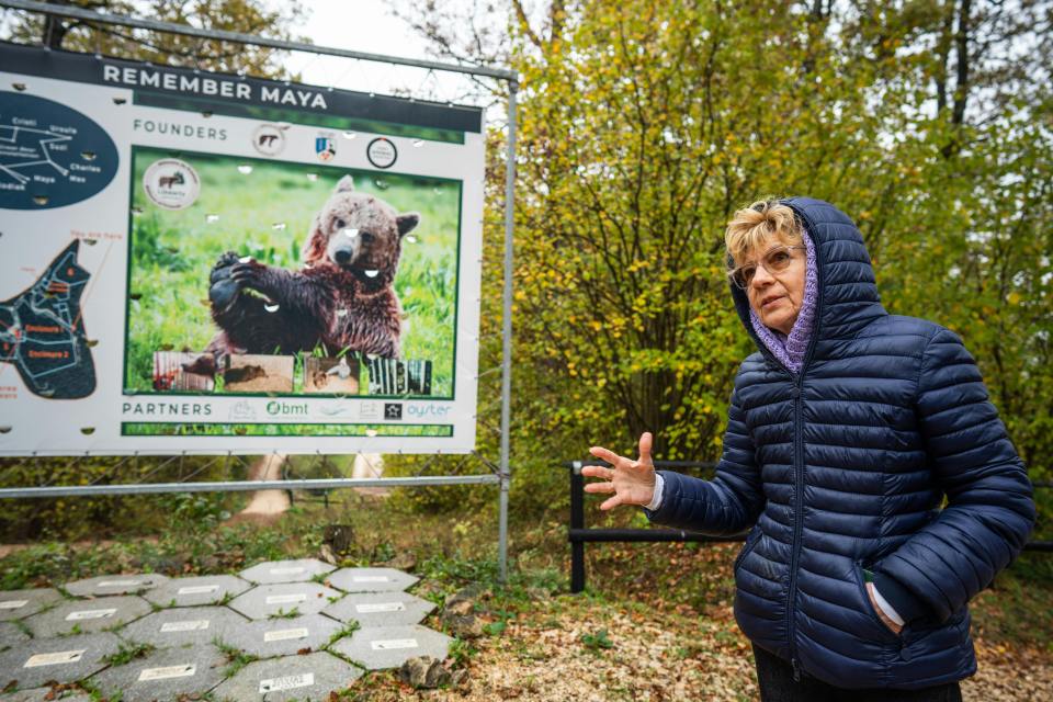 Cristina Lapis spoke to The Sun about Romania's bear issues and the plan to kill hundreds off