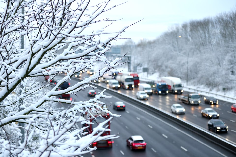 Snow-covered branches in the foreground with blurry traffic on a motorway in the background.