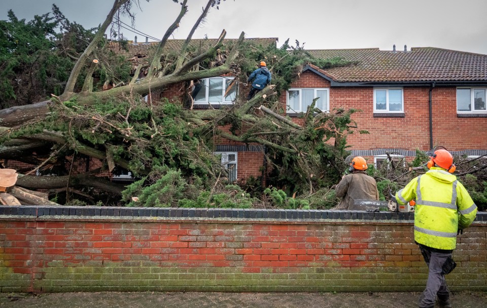 Storm Darragh's strong winds caused damage earlier this month