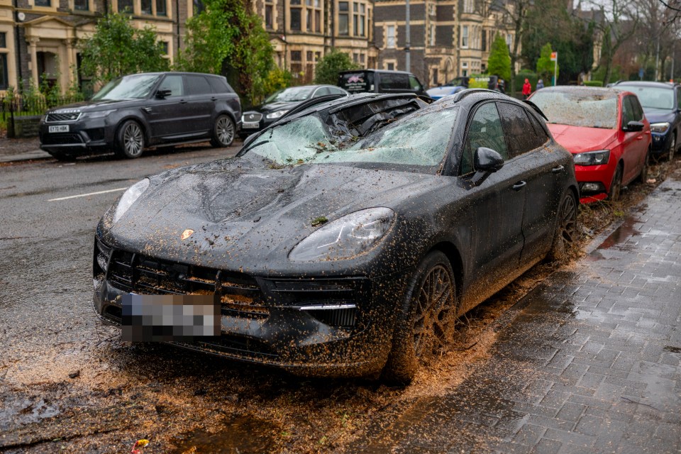 A Porsche was crushed by a fallen tree in Cardiff overnight