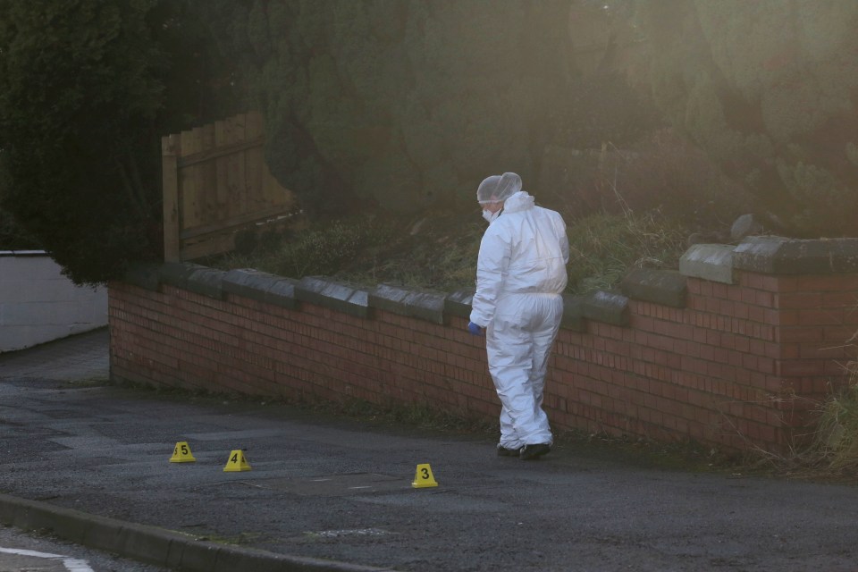 Forensic officers scouring the scene for clues