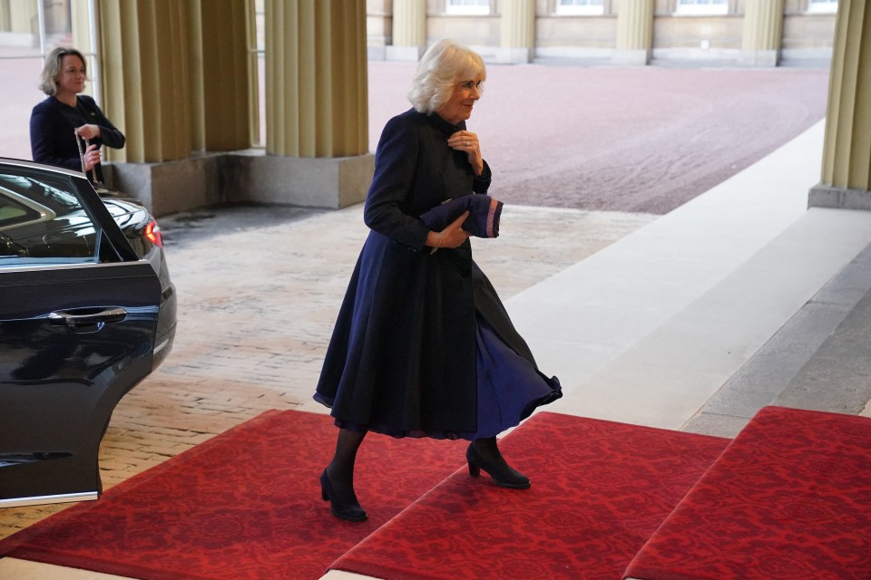 Queen Camilla at the Qatar state visit today