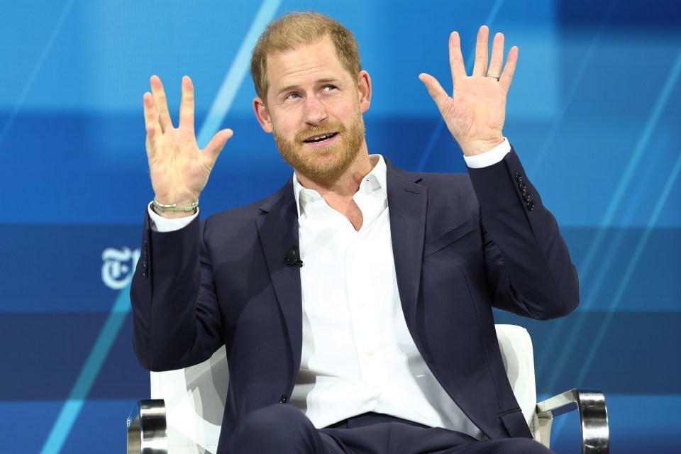 Prince Harry speaks during the New York Times annual DealBook summit