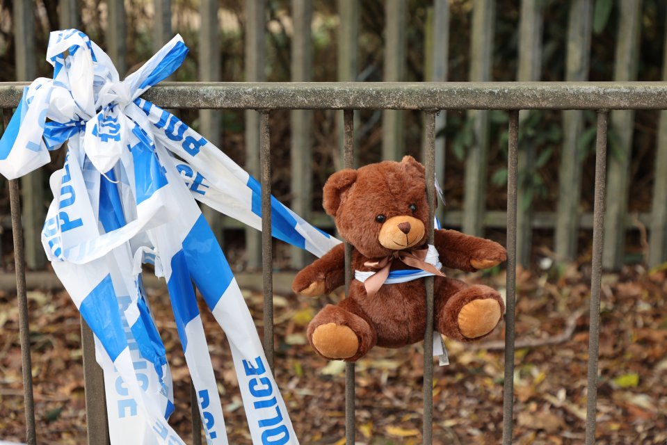 A teddy bear was pinned to the fence