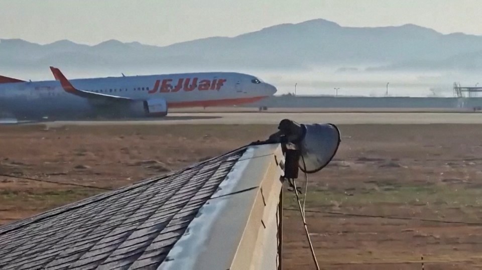 Footage shows the plane attempting a 'belly landing'