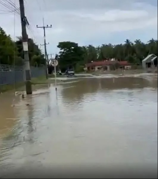 There was severe flooding in the area at the time, which could have contributed to the snake’s trouble