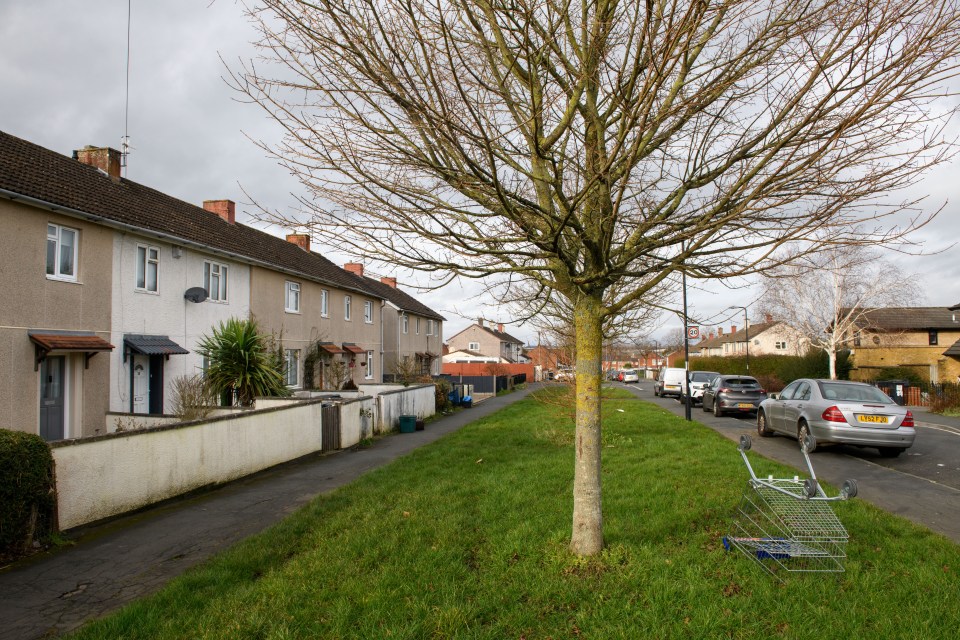 A shopping cart lies abandoned on a grassy verge in a residential street.