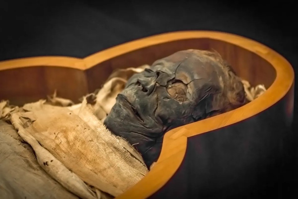 The oldest confirmed case of the plague outside of Eurasia has been detected in an ancient Egyptian mummy