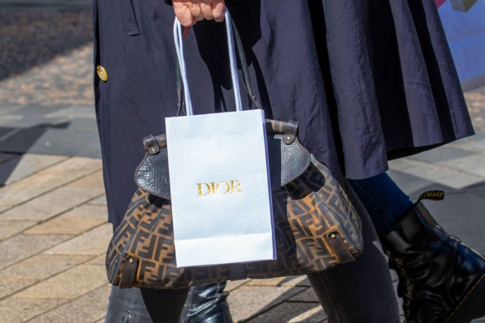 Person carrying a Dior shopping bag.