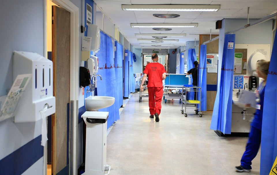 Hospital ward hallway.