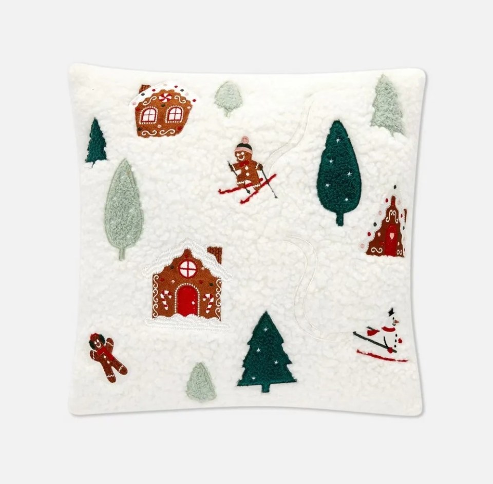 This winter scene cushion is £10 at Primark