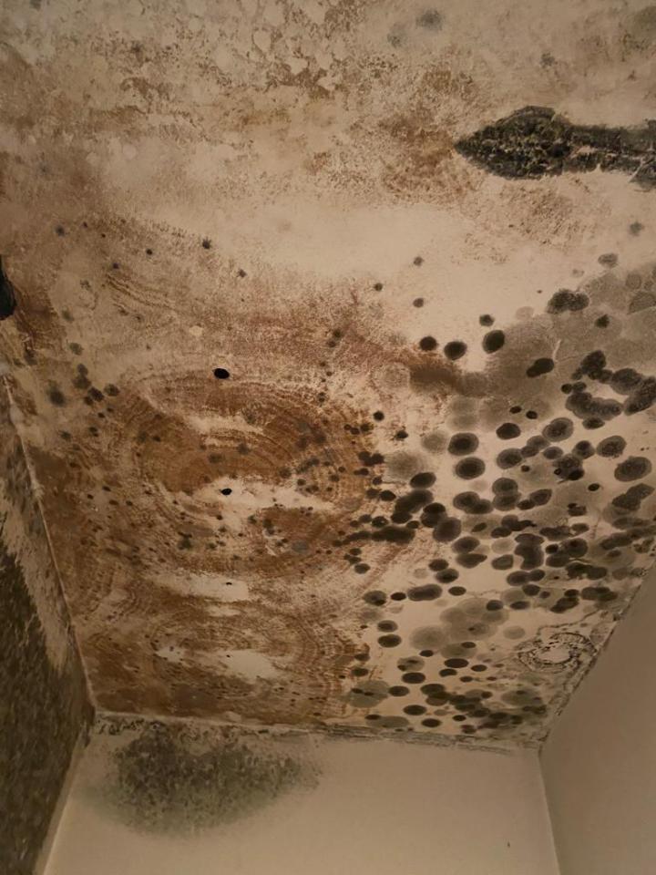 Tanya has shared pictures of the mould she believes is the cause of damage to her belongings