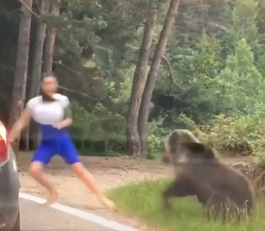 The terrifying moment a woman dices with death as she foolishly tries to pose for a photo with a giant bear in Bacău