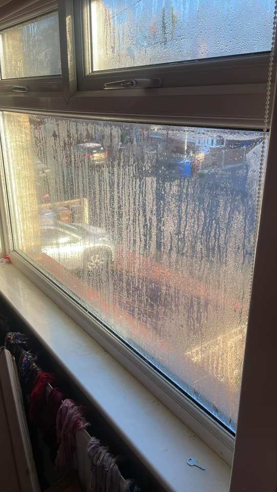 Desperate to tackle the condensation in her house for good, one woman took to Facebook to seek tips