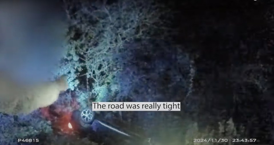 The 35-year-old flipped her BMW into a ditch