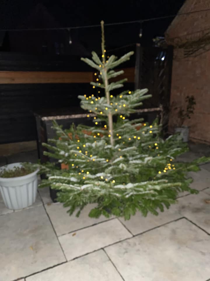 One happy customer's tree was so big it had to go outside