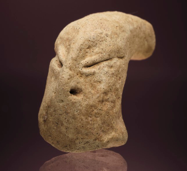 The mysterious alien-like head was found at the Bahra 1 site