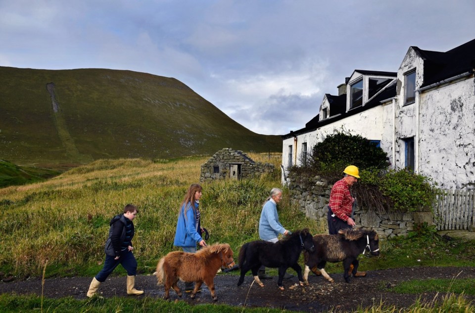 FOULA, SCOTLAND - OCTOBER 01: Jack, Penny, Sheila and Jim Grear walk their ponies to the Island of Foula ferry where they will be loaded for market on Shetland on October 1, 2016 in Foula, Scotland. Foula is the remotest inhabited island in Great Britain with a current population of thirty people and has been owned since the turn of the 20th century by the Holbourn family. (Photo by Jeff J Mitchell/Getty Images)