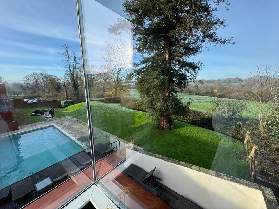 View from a window showing a swimming pool, lawn, and trees.