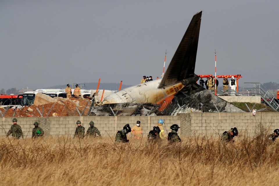 Soldiers check a field near the wreckage for debris