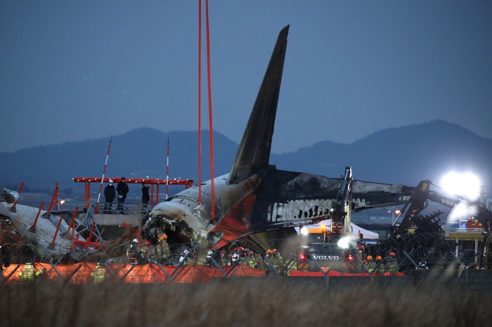 The wreckage of the passenger plane