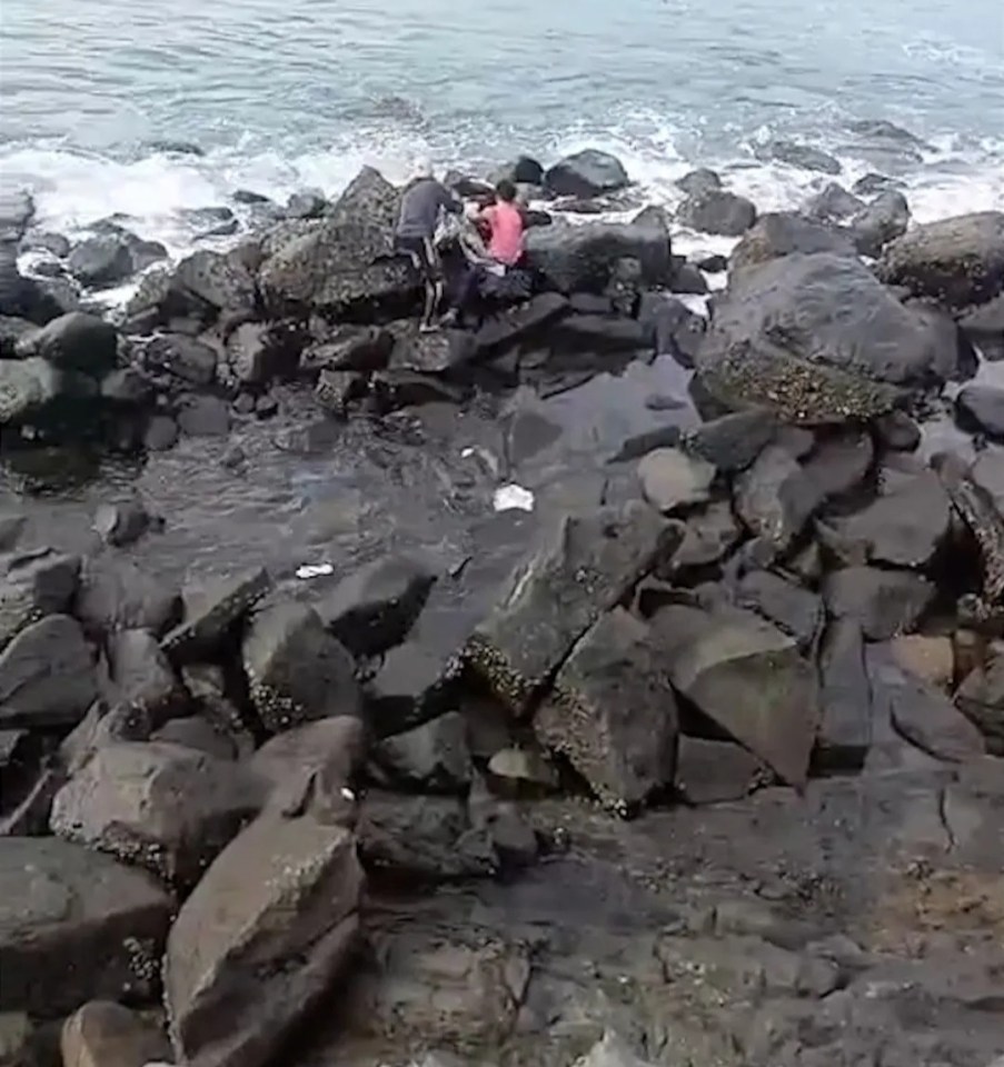 A piece of white fabric can be seen washed up on the rocks, which could be Merlin although it is unconfirmed