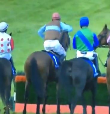 This was the moment iconic jockey Davy Russell punched a horse on the back of the head before a race - drawing a four-day ban