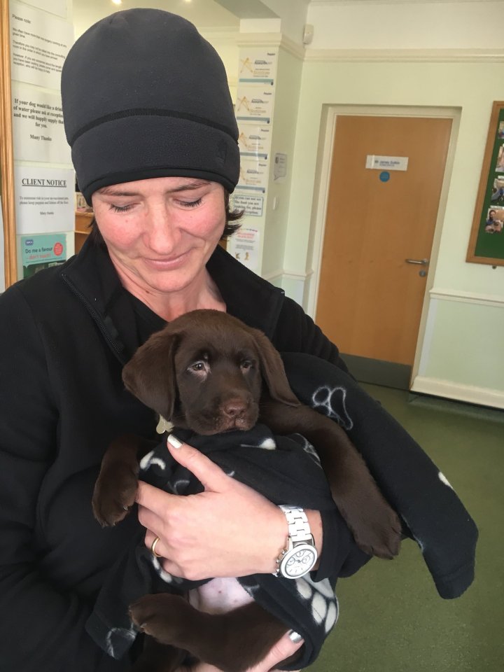 Donna with their dog Sherlock