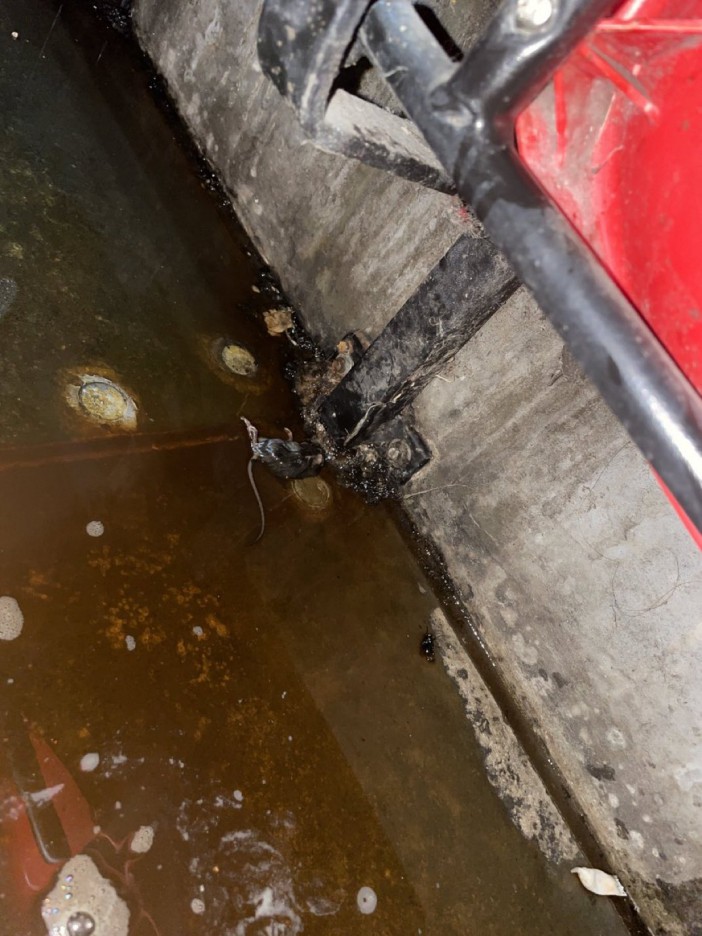 A supporter posted a picture of a dead rat at Old Trafford